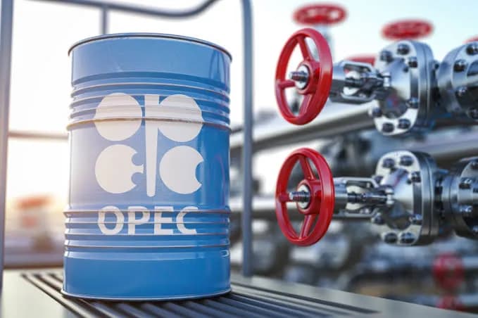 A Snapshot of PMS Prices Across OPEC Countries