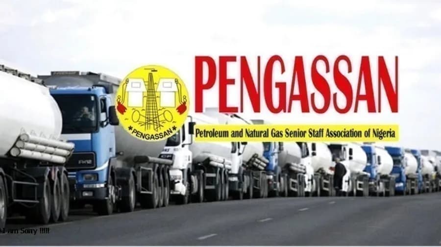 Court Nullifies PENGASSAN Suspension of NMDPRA Staff