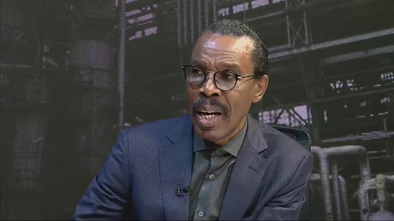 Rewane Warns Fuel Hike Will Deepen Energy Poverty in Nigeria