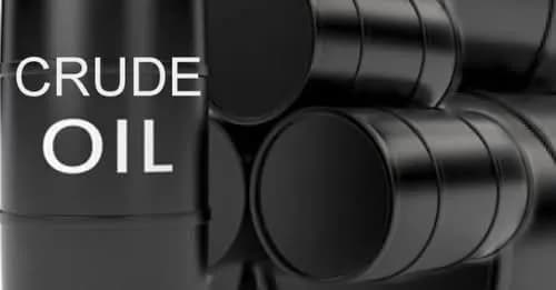 Nigeria May Start Exporting Petrol in Two Years – PETROAN