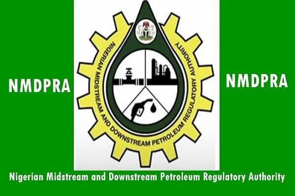 Delayed Senate Confirmation of NMDPRA Board Raises Operational Efficiency Concerns