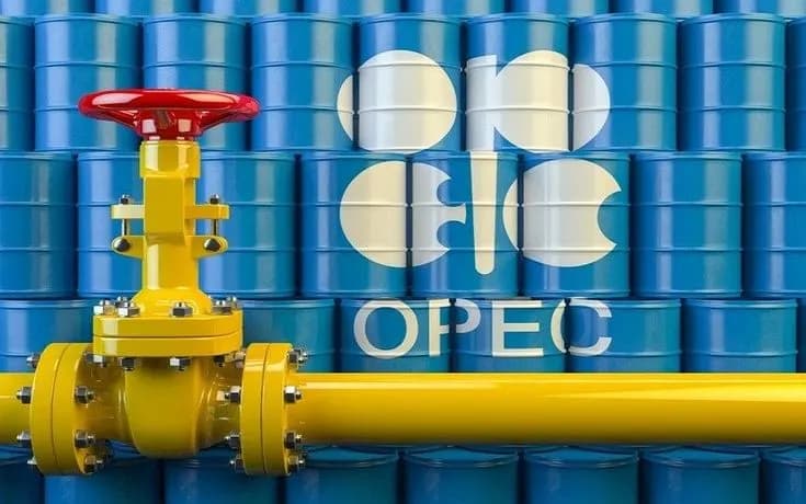 Nigeria's Rig Count Falls 41.7% in April, OPEC Report Shows