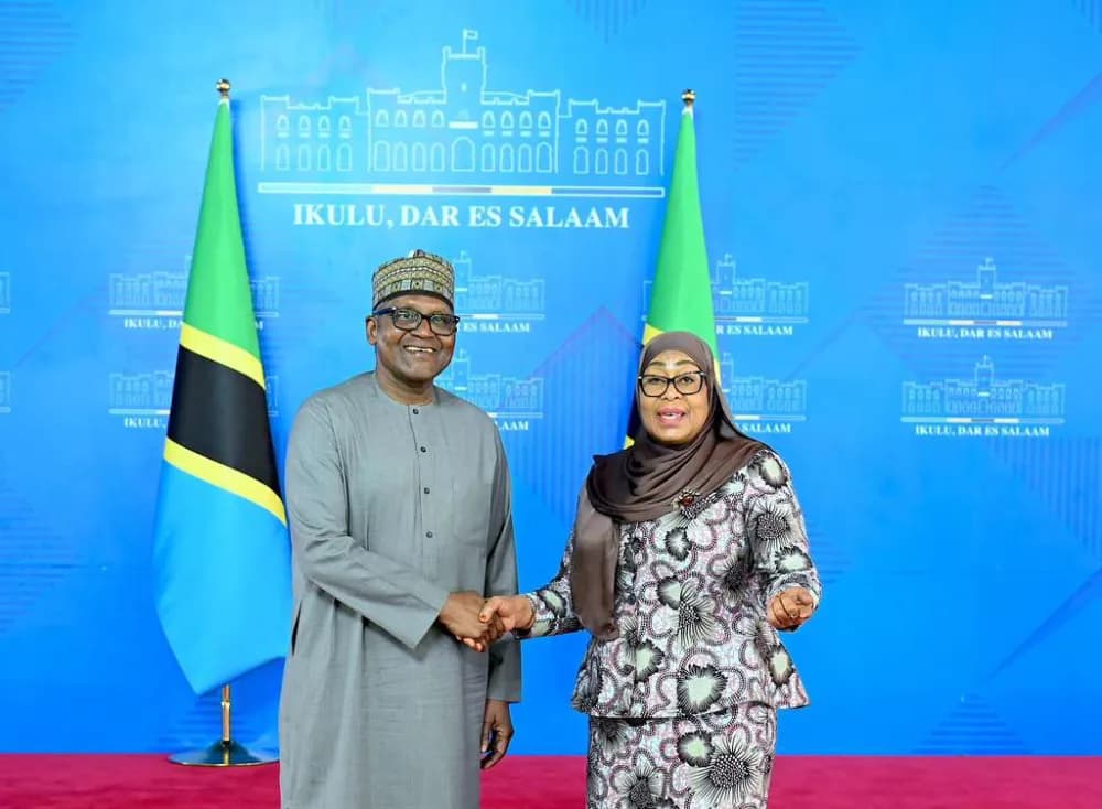 Tanzania Appoints Minister to Drive Dangote Partnership as Two Sides Discuss Power, Ports, Fertiliser