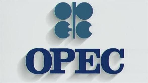 OPEC Warns High Borrowing Costs, Inflation May Limit Nigeria's Oil Gains